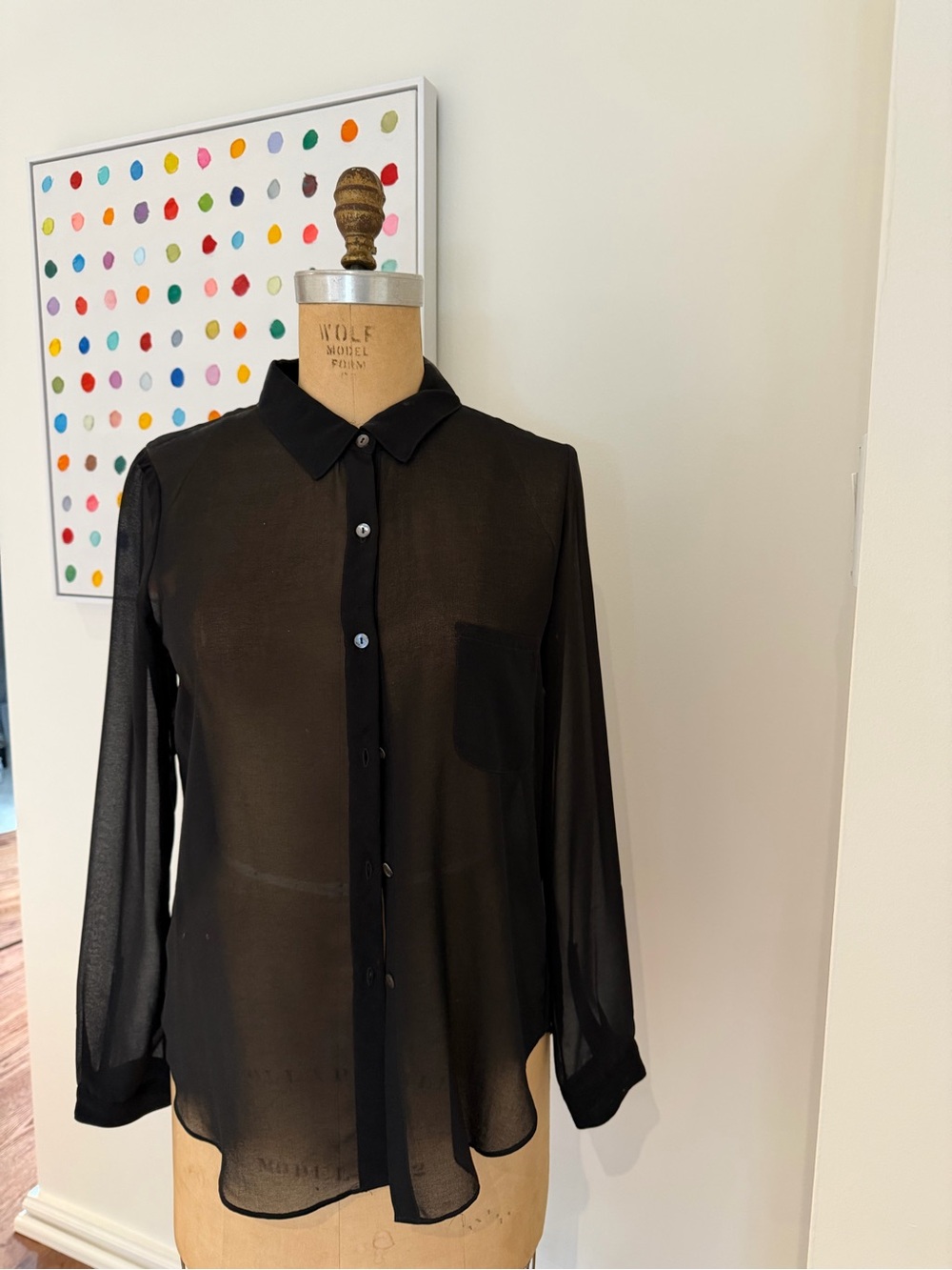 VELVET Sheer Black Long-Sleeve Button-Up Shirt - Women’s Classic